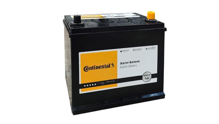 Batería Industrial AGM 12V 100Ah